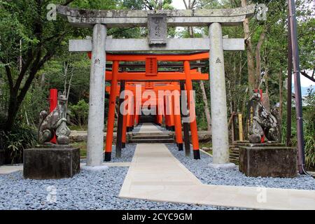 Entrance of torii gates at inari jinja of Suwa Shrine in Nagasaki. Taken in August 2019. Stock Photo