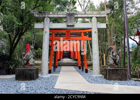 Entrance of torii gates at inari jinja of Suwa Shrine in Nagasaki. Taken in August 2019. Stock Photo