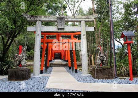 Entrance of torii gates at inari jinja of Suwa Shrine in Nagasaki. Taken in August 2019. Stock Photo