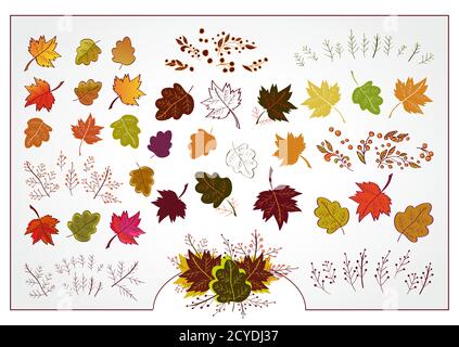 Vector set of autumn leaves, branches and berries Stock Vector