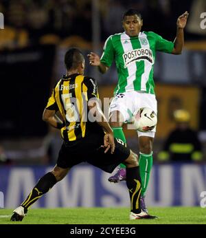 Jherson Cordoba C Of Colombia S Atletico Nacional Celebrates With Teammates Luis Fernando Mosquera R And Dorlan Pabon After Scoring Against Uruguay S Penarol During Their Copa Libertadores Soccer Match In Montevideo February 21