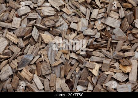 wood chips and bark lying on the ground Stock Photo