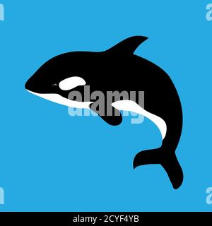Flat illustration with grampus on a blue background. Vector killer whale for your design. Stock Vector