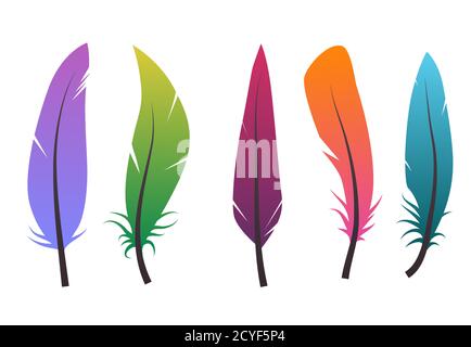 Set of colorful different feathers. Vector elements for your design. Stock Vector