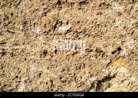 old weathered shell stone surface background texture backdrop Stock Photo