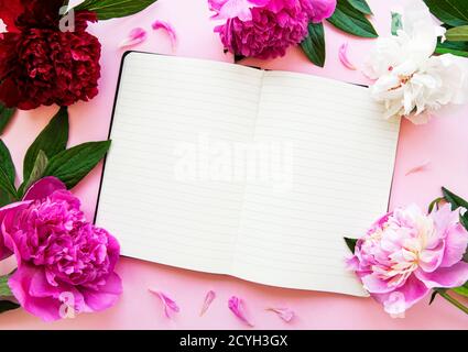 Empty notebook and  peony flowers on pink pastel background,  top view in flat lay style. Stock Photo
