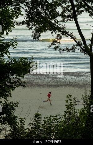 A lone late evening jogger seen through the trees at Priory Beach on the Isle of Wight. 22 August 2016. Photo: Neil Turner