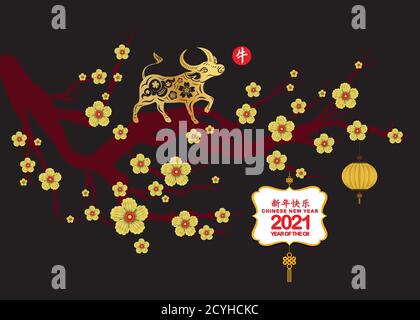 Happy chinese new year 2021 Zodiac sign with Ox (Chinese translation Happy chinese new year 2021, year of ox) Stock Vector