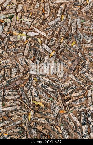 Paving stones of rectangular pieces of granite, with yellow autumn fallen leaves. Stock Photo