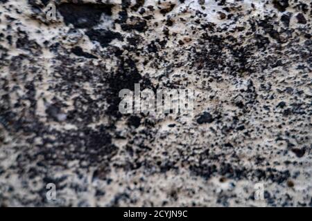 Background blurred texture of concrete patterns displayed Stock Photo