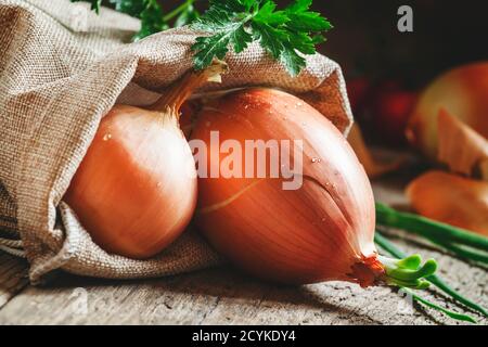 Germinated yellow onions in a burlap sack, green onions feathers, parsley on the old wooden background in rustic style, dark toned image, selective fo Stock Photo