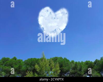 Heart shaped cloud in blue sky over trees. Stock Photo