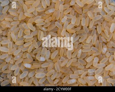 Yellow Rice Round Shape Diet food concept. Love for rice. Heart shaped uncooked rice isolated ...