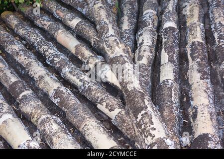 Abstract - Roof Tiles Stock Photo