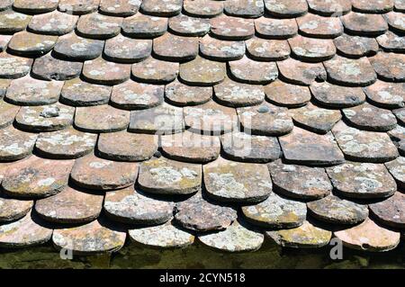 Unique traditional Transylvanian roof tiles Stock Photo