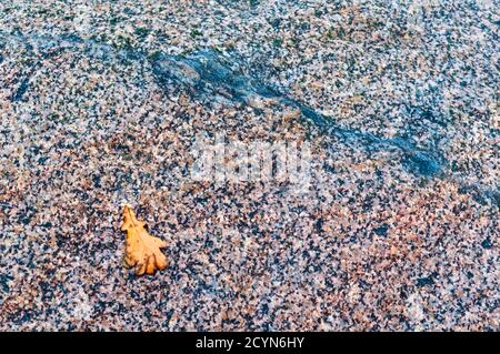 sea stone texture, natural stone background Stock Photo