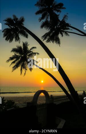 Leaning palm trees at sunset on beautiful, unspoilt Kizhunna Beach, south of Kannur on the state's north coast; Kizhunna, Kannur, Kerala, India Stock Photo