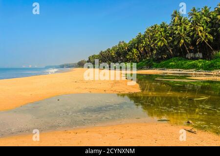 Leaning palm trees and lagoon on beautiful, unspoilt Kizhunna Beach, south of Kannur on the state's north coast; Kizhunna, Kannur, Kerala, India Stock Photo