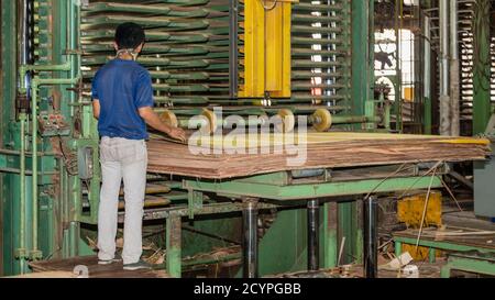 Feeding the vertical Plywood Cold Press in a Plywood Factory in Sandakan, Sabah, Malaysia: Stock Photo