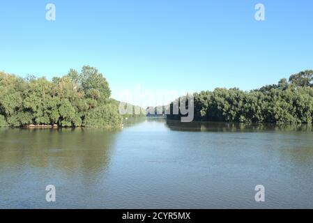 River Danube, Chilia Branch, Romania, Summer 2020 Stock Photo