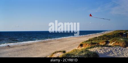 Kite flying along the white sandy beach. Bjerregård Strand, Holmsland Klit bar, West Jutland, Denmark Stock Photo