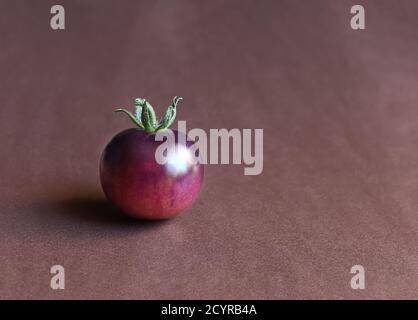 Unusual blue ripe tomato isolated on a dark brown background with copy space Stock Photo