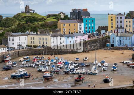 Colourful houses overlook the harbour at low tide in Tenby, Pembrokeshire Coast National Park, Pembrokeshire, Wales Stock Photo