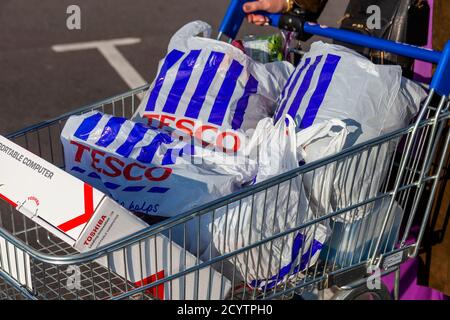 London, UK, November 19, 201 : Customer shopper pushing a shopping trolley cart full of plastic carrier bags at its Tesco Extra supermarket retail bus Stock Photo