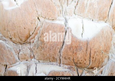 Mountain and rock texture of stone wall or background of light beige natural color. Can be used for your creativity. Stock Photo