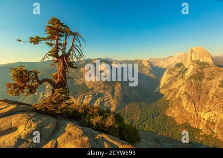 panorama and tree of Glacier Point in Yosemite National Park, California, United States. The view from Glacier Point: Half Dome, Liberty Cap, Yosemite Stock Photo