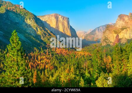 Close up on Tunnel View overlook at Yosemite National Park at sunset. Front view of popular El Capitan and Half Dome at sunset. Summer American travel
