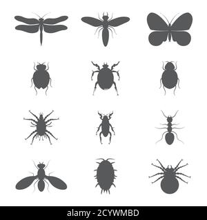 illustration with insect silhouettes isolated on white background Stock Vector