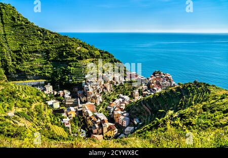 Manarola Village at the Cinque Terre in Italy Stock Photo