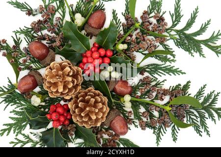 Winter greenery border with cedar cypress leylandii leaves & pine cones on  white background. Natural flora for the Christmas & New Year season Stock  Photo - Alamy