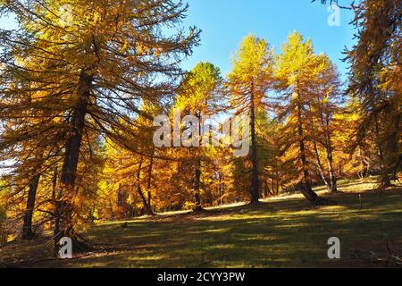 Alpine landscape in Autumn, Ligurian Alps Stock Photo