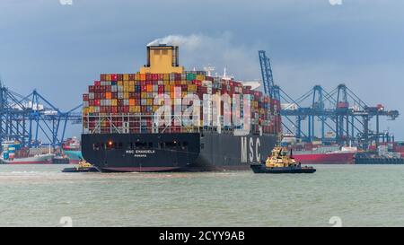 British Imports arriving at Felixstowe Port - MSC Emanuela Container Ship arrives at the Port of Felixstowe, the UK's largest container port. UK Trade. Stock Photo