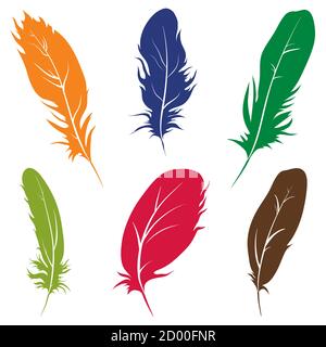 Beautiful feathers of birds isolated on white background. Vector illustration. Stock Vector