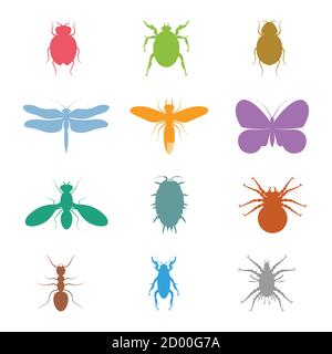Colorful vector insects collection. Biology, of course, isolated on white background. Vector icons. Flying and crawling insects micro view vector Stock Vector