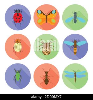 Insects icons vector flat style isolated on white background. Stock Vector