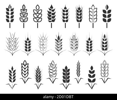 Symbols. for logo design Wheat. Agriculture, corn, barley, stalks, organic plants, bread, food, natural harvest, vector illustration on white Stock Vector