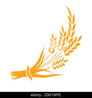Ears and grains of wheat on a white background. Vector. Stock Vector