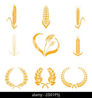 Ears of wheat or rice icons. Agricultural spikelets of wheat symbols on a white background. Organic farming farm crop seeds bread packaging or label Stock Vector
