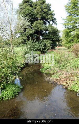 The River Tillingbourne flowing through Abinger Hammer village green surrounded by greenery in the Surrey Hills, Surrey, UK, September 2020 Stock Photo