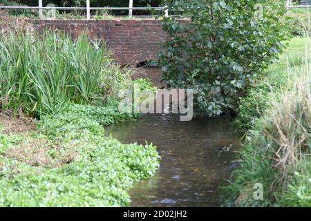 The River Tillingbourne flowing through Abinger Hammer village green surrounded by greenery in the Surrey Hills, Surrey, UK, September 2020 Stock Photo