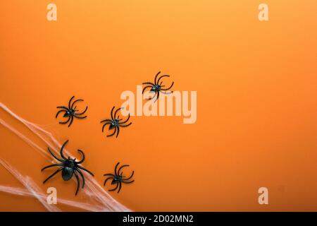 Halloween background with spider web and spiders as symbols of Halloween on the orange background. Happy Halloween concept. Frame Stock Photo