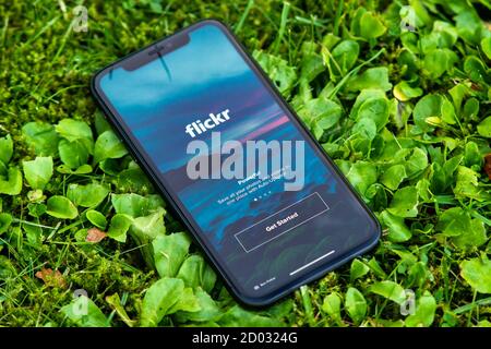 Tallinn / Estonia - September 28, 2020: Black iphone with logo of Social media Flickr on the screen. Green grass background. Can be used as illustrati Stock Photo