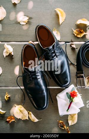 Close-up of black shoes of a man with untied laces, on a wooden texture with a belt and groom's boutonniere, with yellow autumn leaves. Stock Photo