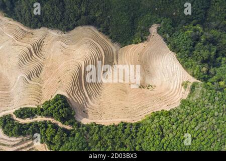 View from above, stunning aerial view of some hills plowed for rice cultivation. Tegalalang rice fields, Ubud,, Bali, Indonesia. Stock Photo