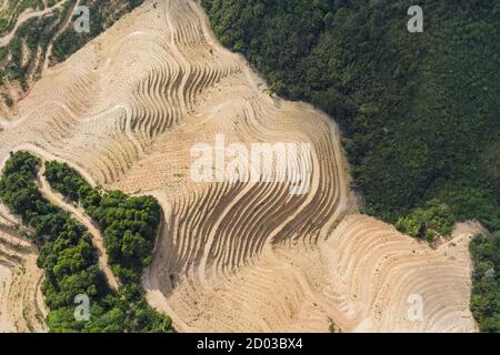 View from above, stunning aerial view of some hills plowed for rice cultivation. Tegalalang rice fields, Ubud,, Bali, Indonesia. Stock Photo