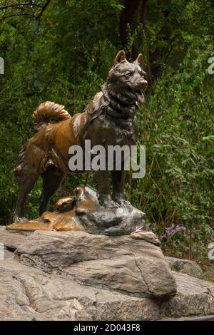 Balto sled dog statue in Central Park NYC Stock Photo